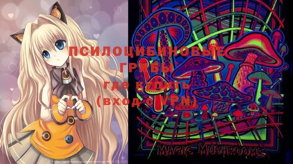 прущий лед Михайловка