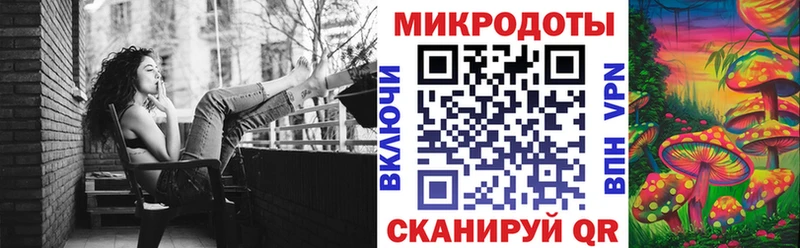 Псилоцибиновые грибы Psilocybe  дарнет шоп  Троицк 