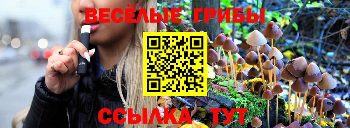 Галлюциногенные грибы Psilocybine cubensis Троицк