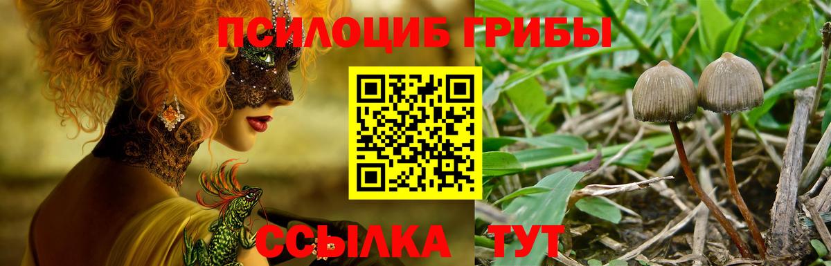 цена наркотик  Галлюциногенные грибы MAGIC MUSHROOMS  Троицк  Вход с VPN  Псилоцибиновые грибы прущие грибы 